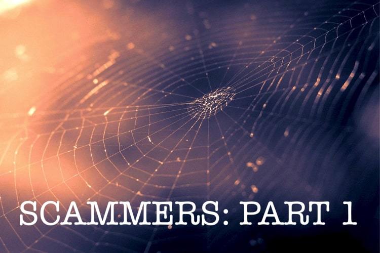 Scammers trap their victims in a spider's web of deceit.